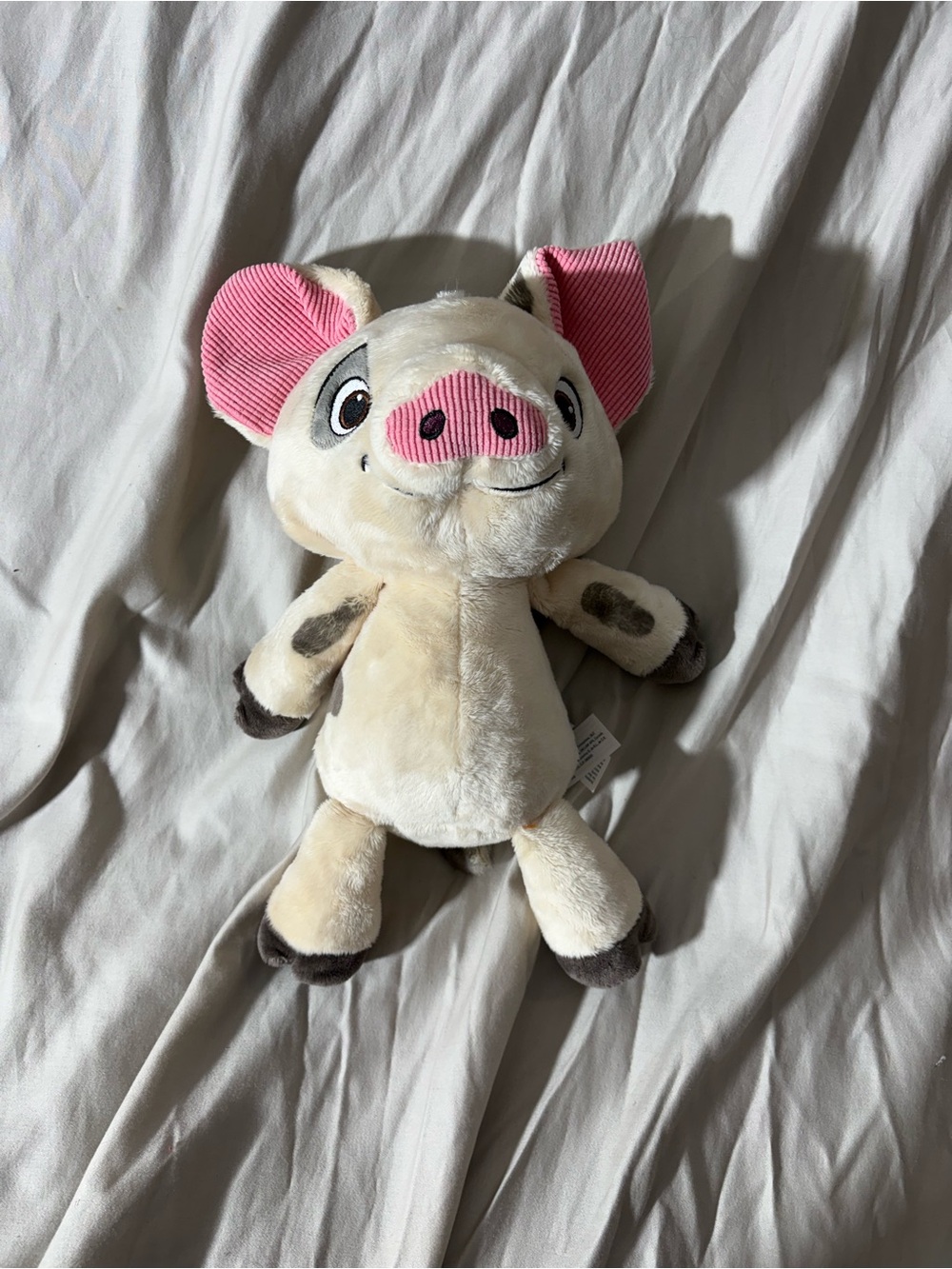 Scentsy buddy Moana Disney pau